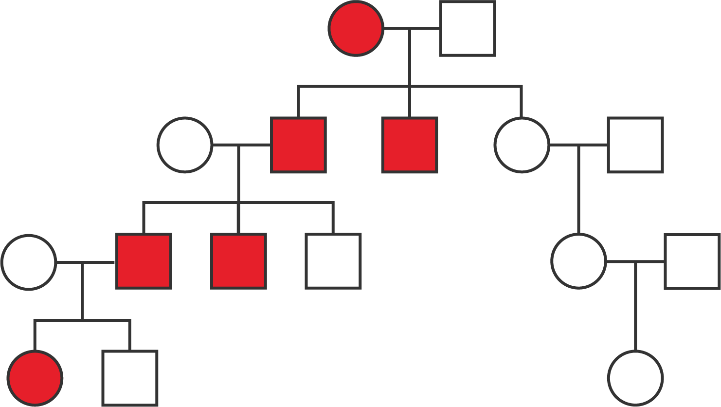A pedgiree with four generations.